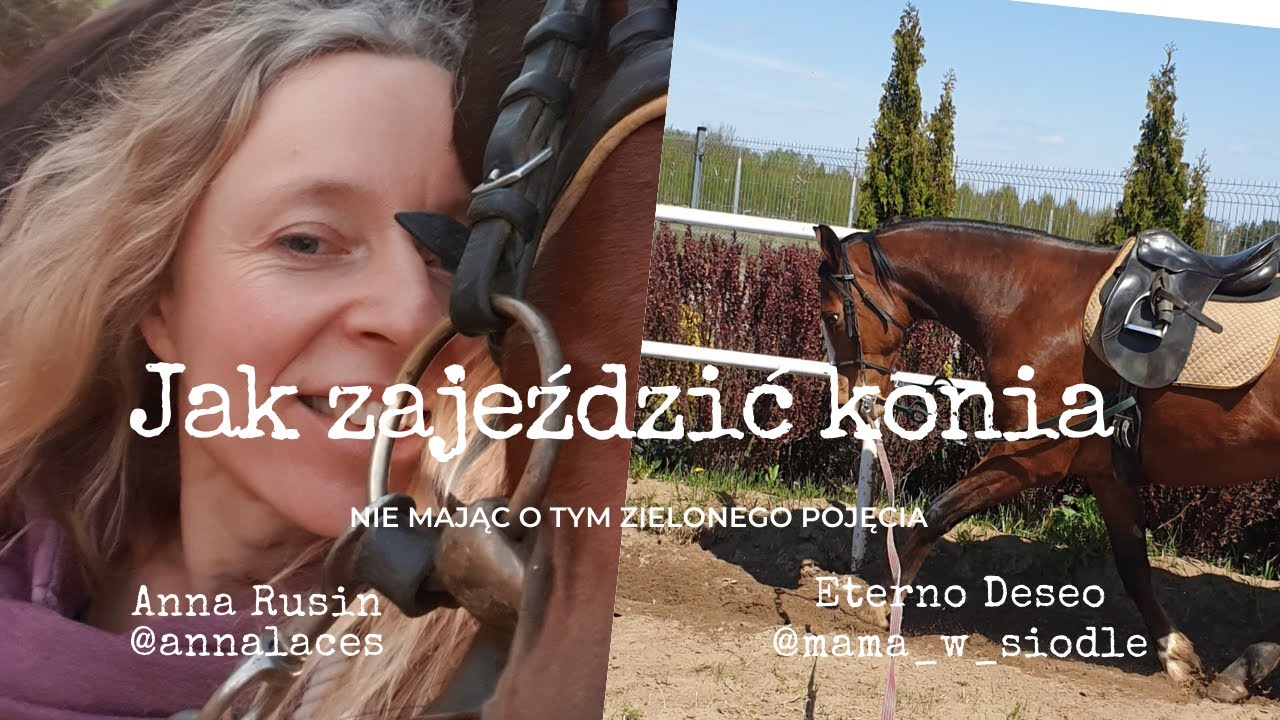 Jak zajeździć konia nie mając o tym zielonego pojęcia