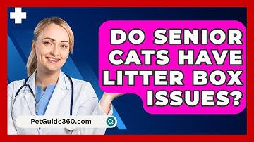 Do Senior Cats Have Litter Box Issues? - PetGuide360.com