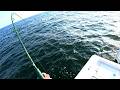 Summer Flashback! (Early Morning Bull Drum)