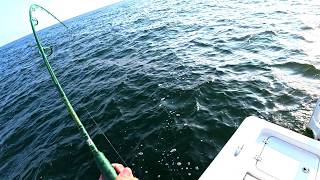Summer Flashback! (Early Morning Bull Drum)