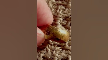 Palladium metal! #palladium #sciencefacts #factsinhindi