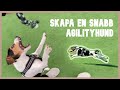 Vlogg: SKAPA EN SNABB AGILITYHUND l Agility för nybörjare