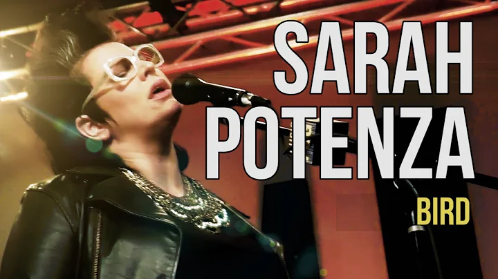 Sarah Potenza "Bird"