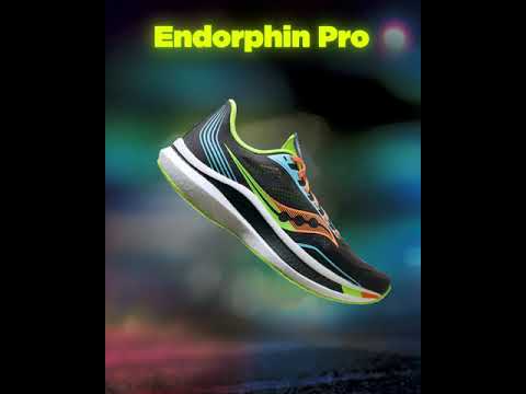 Reintroducing the Endorphin Pro