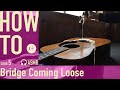 Acoustic Bridge Coming Loose【Four Decades Repairing Guitar】