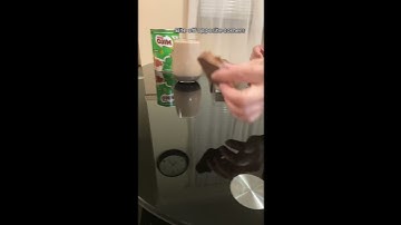 How to eat TimTams#shortsvideo #timtam