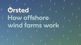 How Offshore Wind Farms Work
