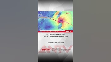 Dự báo mới nhất thời gian bão số 9 Ragasa đổ bộ vào đất liền #antv #shorts #thoisu #baoso9