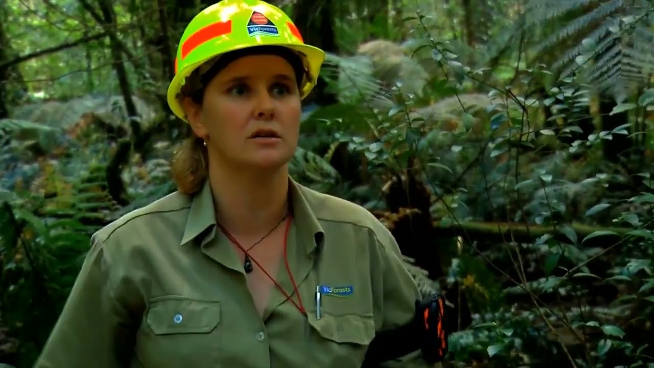 Technology in Forestry.   Part Two. ca 2013