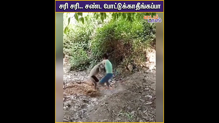 சேட்டை புடிச்ச குரங்கு சார் இது | MONKEY | VIRAL VIDEO | TIMEPASS ONINE
