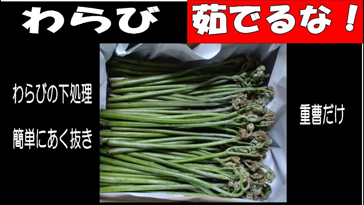 わらび の ゆで 方