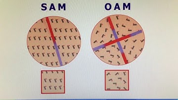 Spin and Orbital angular momentum explained using polarisation