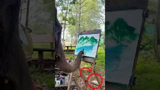 Animals With Unique Skills Or Talents