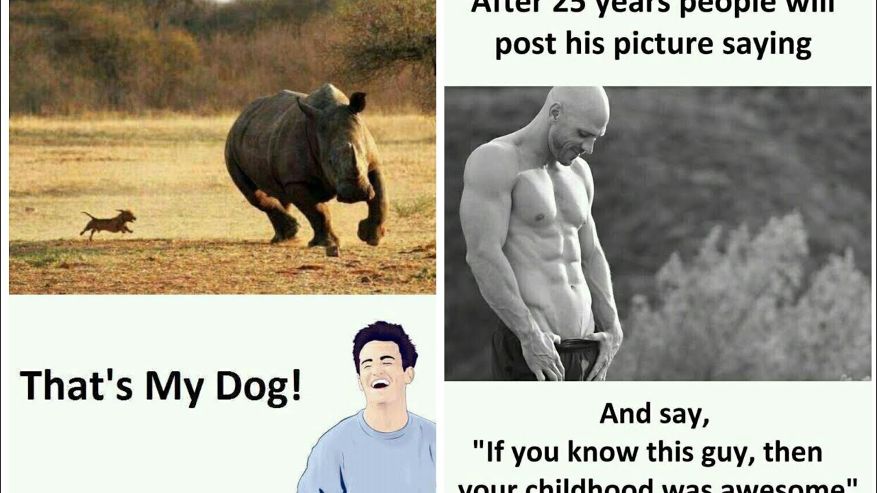 Funny memes that make you laugh #15 || Funny Relatable memes || Memes pictures 