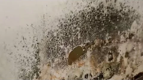 Removing DISGUSTING BLACK MOLD