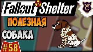 Мульт Собака против радиации Fallout Shelter Выживание 58