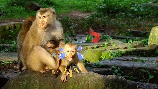 Spoilt Amanda Crying Loudly Request Ashley To Fi Ght Mom Libby Because Libby Not Allow To Touch Baby