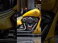 2025 Harley Davidson Fatboy – Ultimate Cruiser Revealed!”