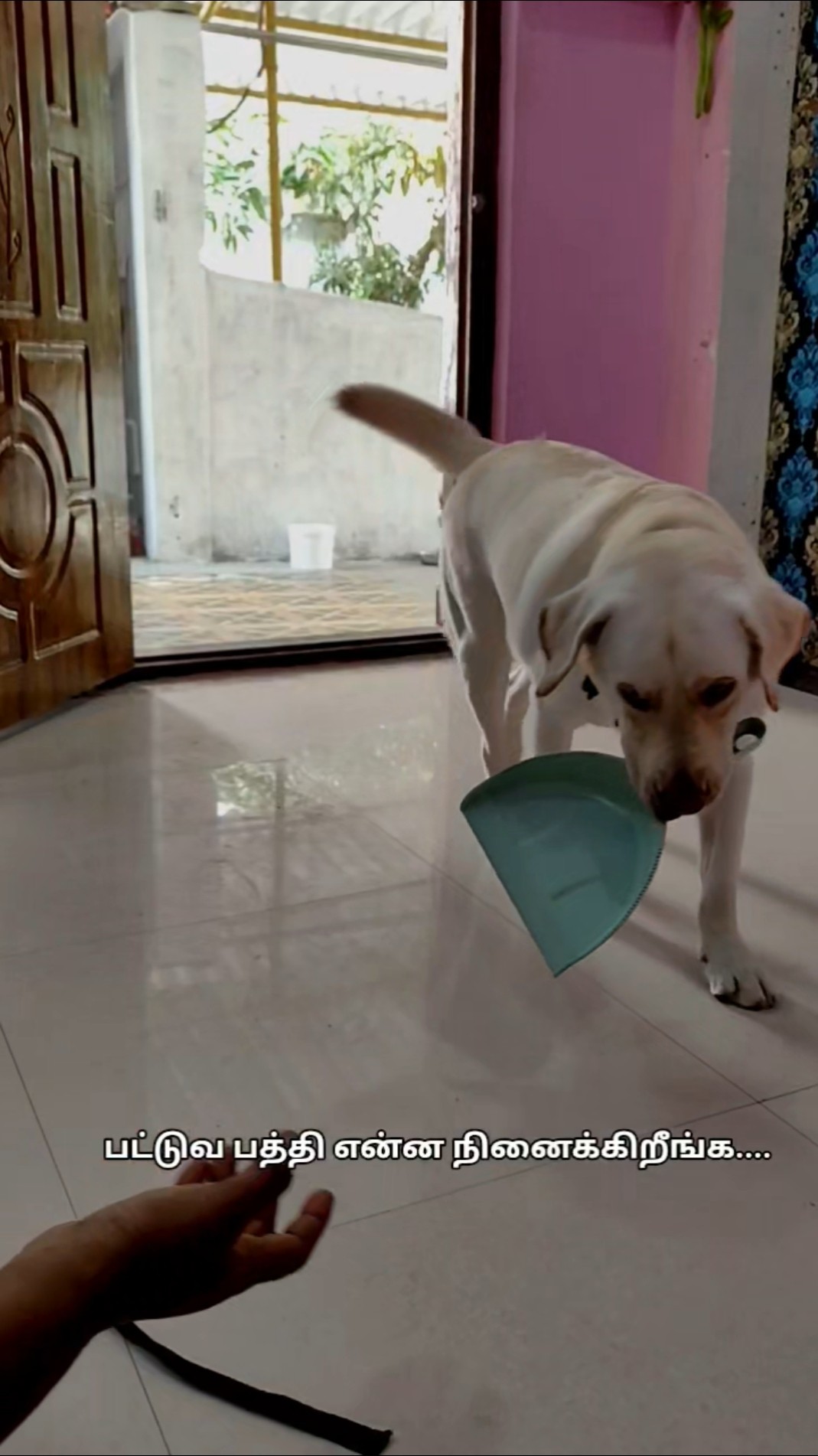 my pattu SPI For Happy family video only - ShareChat