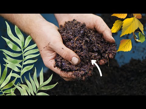 How to STOP Buying Compost (Tips For Compost Self-Sufficiency)
