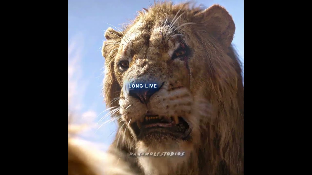  The Saddest Scene Ever Lion King Edit Shorts