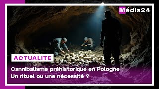 Des Preuves De Cannibalisme Il Y A 18 000 Ans Découvertes En Pologne