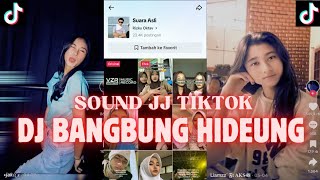 DJ BANGBUNG HIDEUNG REMIX BY RIZKY OKTAV (SOUND OLD) VIRAL TERBARU 2024