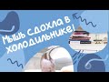 ЧТО ЧИТАЕТ В 10 ЛЕТ, НА СВАДЬБЕ ТЕЛЕФОН ПОТЕРЯЛ