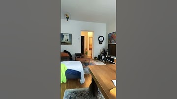 Cat Plays Fetch with Spring