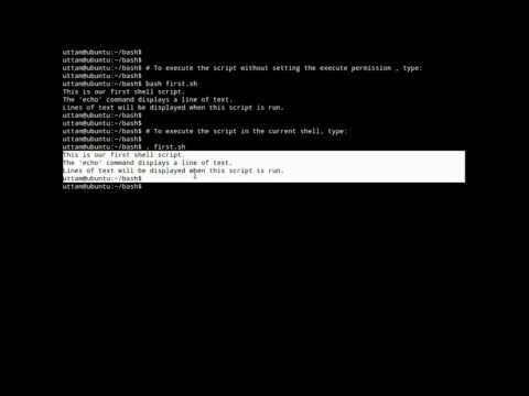 Linux Shell Scripting (Writing and Executing a Shell script)