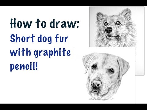 Drawing tutorial: How to draw realistic dog fur - YouTube