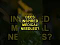 Bees Inspired Medical Needles