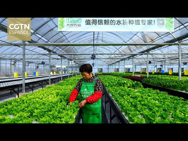 China se centra en las políticas rurales que benefician a los agricultores