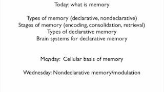 Caltech Bi:CNS 150  Neurobiology   Lec 21