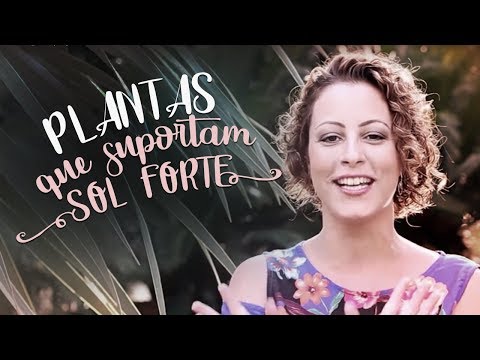 Vídeo: Plantas Tropicais De Interior Para Convidar O Verão A Sua Casa