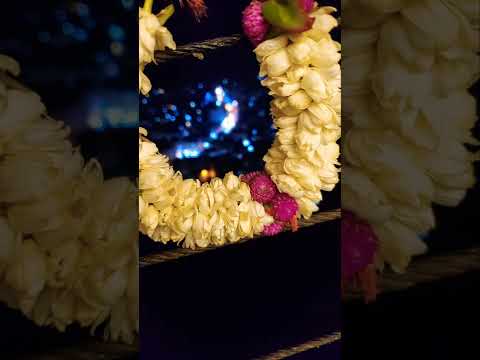 لأول مرة يتم استخدام الفل بهذا المكان