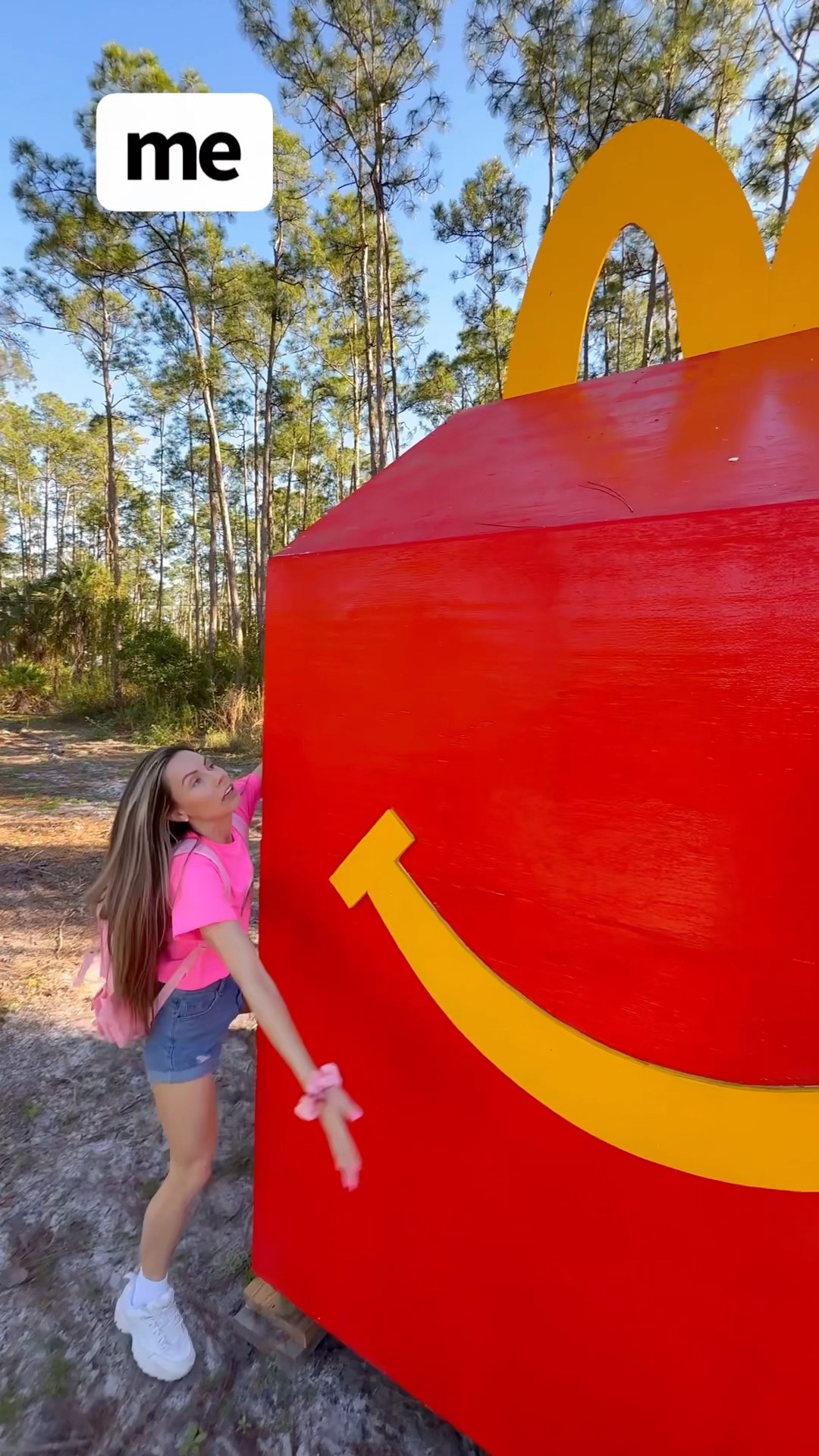 WHEN YOU FIND A WILD HAPPY MEAL