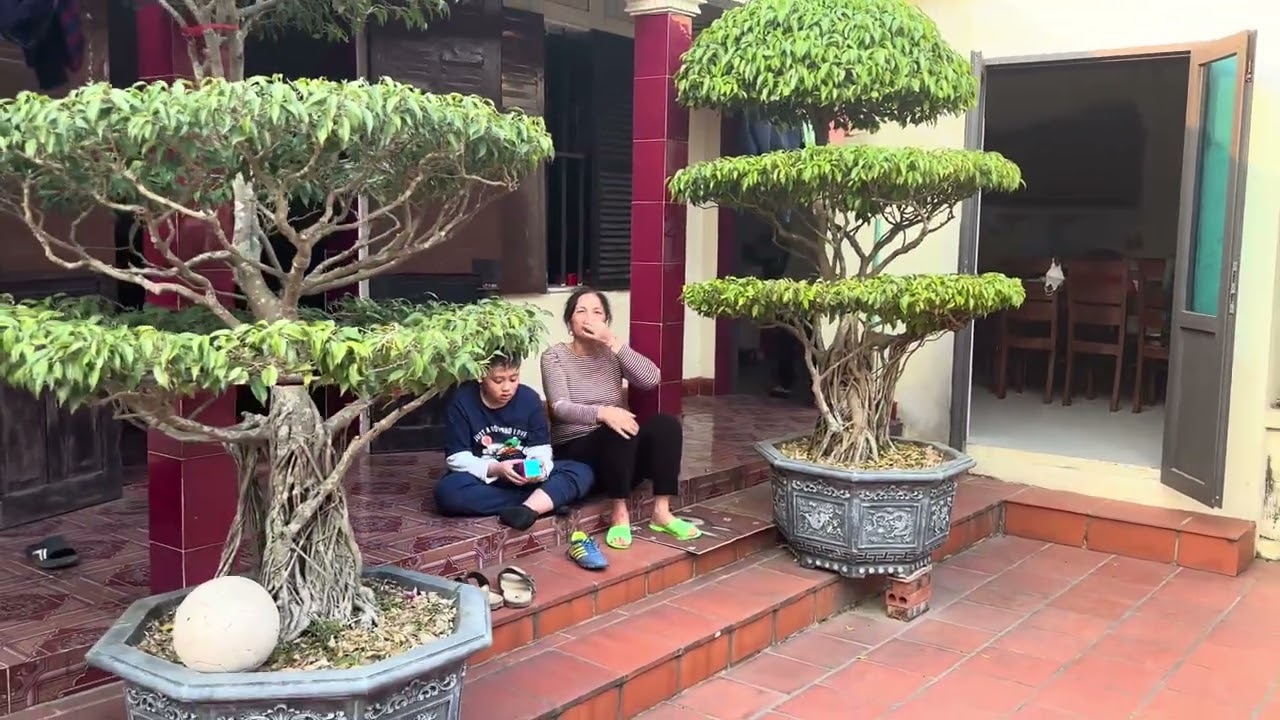 ngày 11 tháng 1, 2026