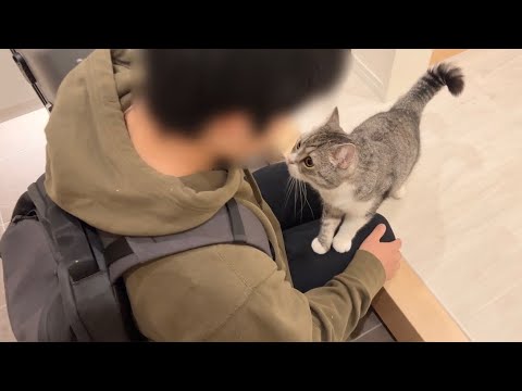 夜中に突然大好きな弟が遊びに来たら猫がこうなっちゃいました…