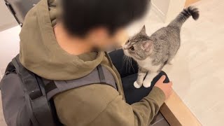 夜中に突然大好きな弟が遊びに来たら猫がこうなっちゃいました…