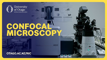 Making the invisible visible: Inside Confocal Microscopy at Otago