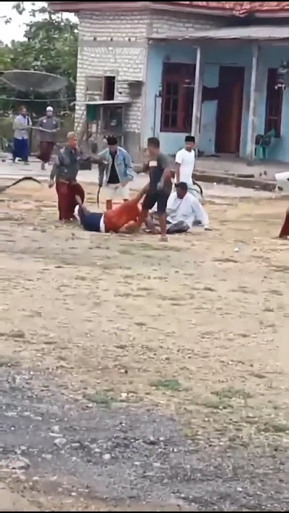 YANG LAGI VIRAL MADURA SAMPANG ACAROK#shorts #fyp