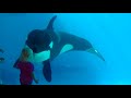 Kalia tells Amaya "let me try it" Jan. 11, 2018 - SeaWorld San Diego