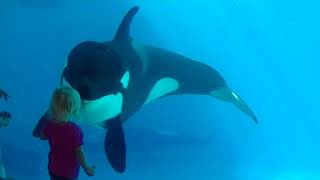 Kalia tells Amaya "let me try it" Jan. 11, 2018 - SeaWorld San Diego