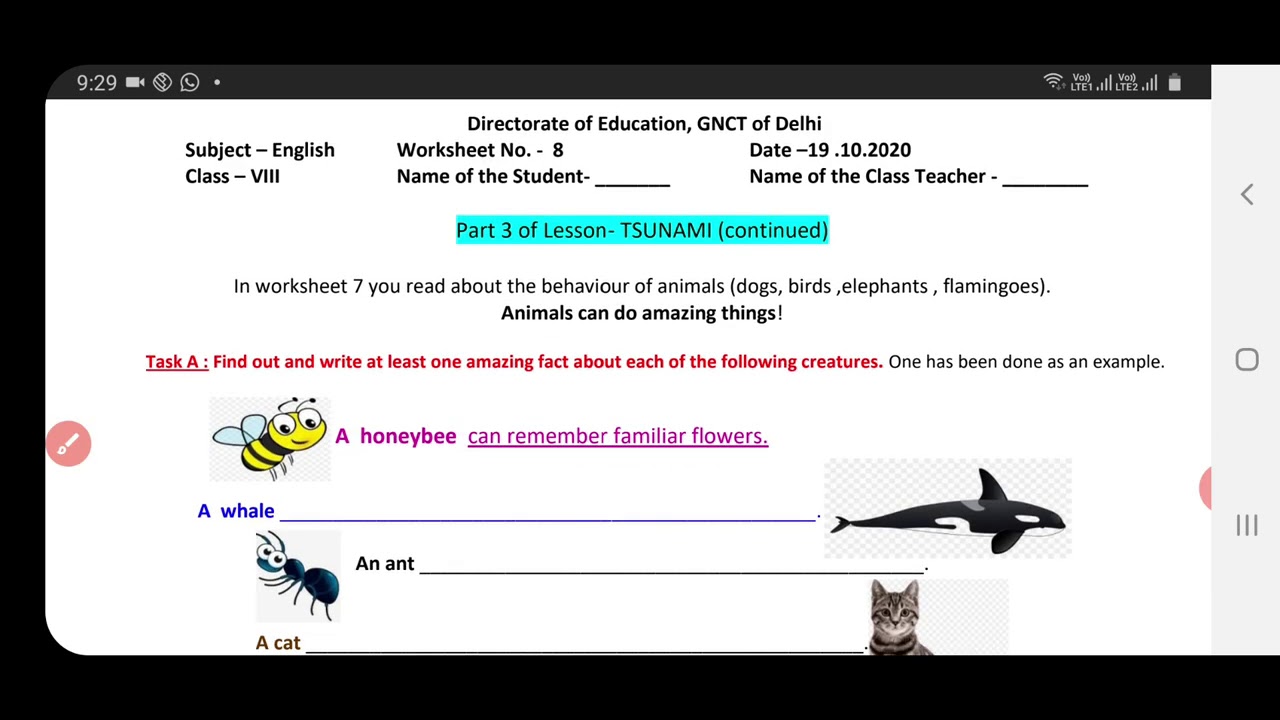 english-worksheet-8-class-8-19-10-2020-class-8-worksheet-english-8-english-worksheet-8