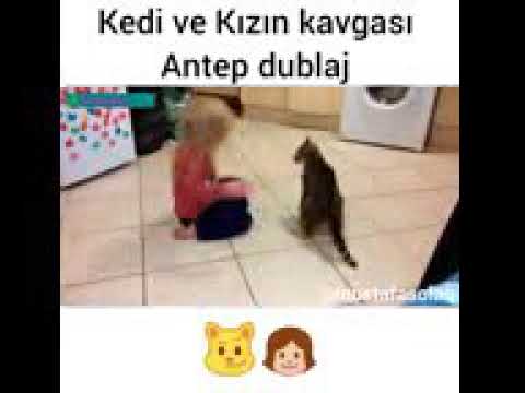 Kedi ve kızın kavgası :D
