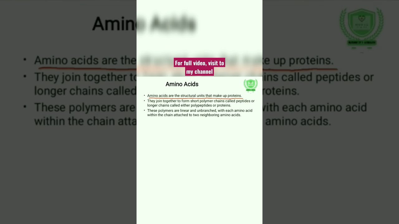 What Is Amino Acid In Urdu Definition Of Amino Acid In Urdu Amino Acid What Is Amino Acid In Urdu Definition Of Amino Acid In Urdu Amino Acid