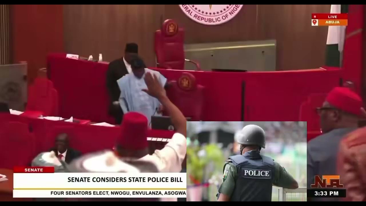 Senate begins clause-by-clause voting on state police constitutional amendment 