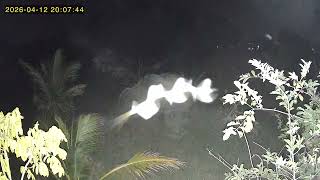 UBox 2026 04 12 200145 3 149 UBox 2026 04 12 200145 3 149