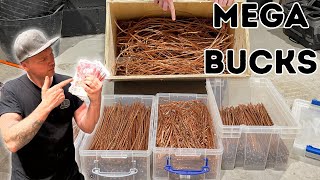 Look how much this Huge copper haul is worth